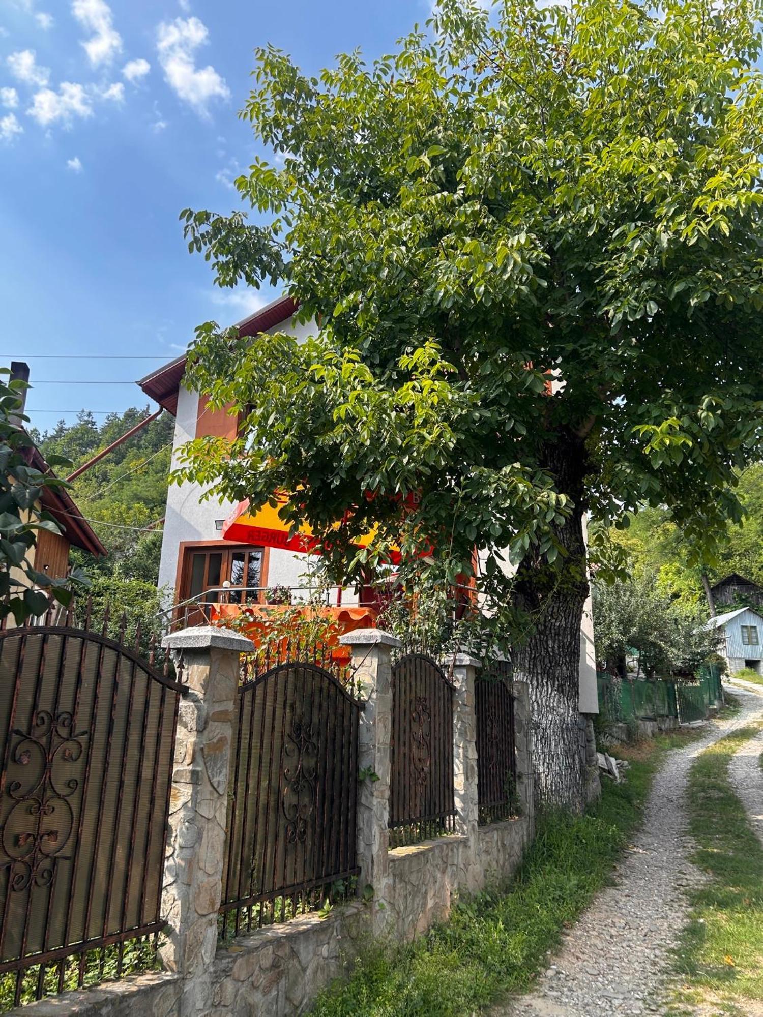 Casa Camelia Villa Нехою Екстериор снимка